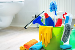 Messie Reinigung Passau