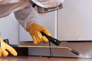 Messie Schädlingsbekämpfung Passau